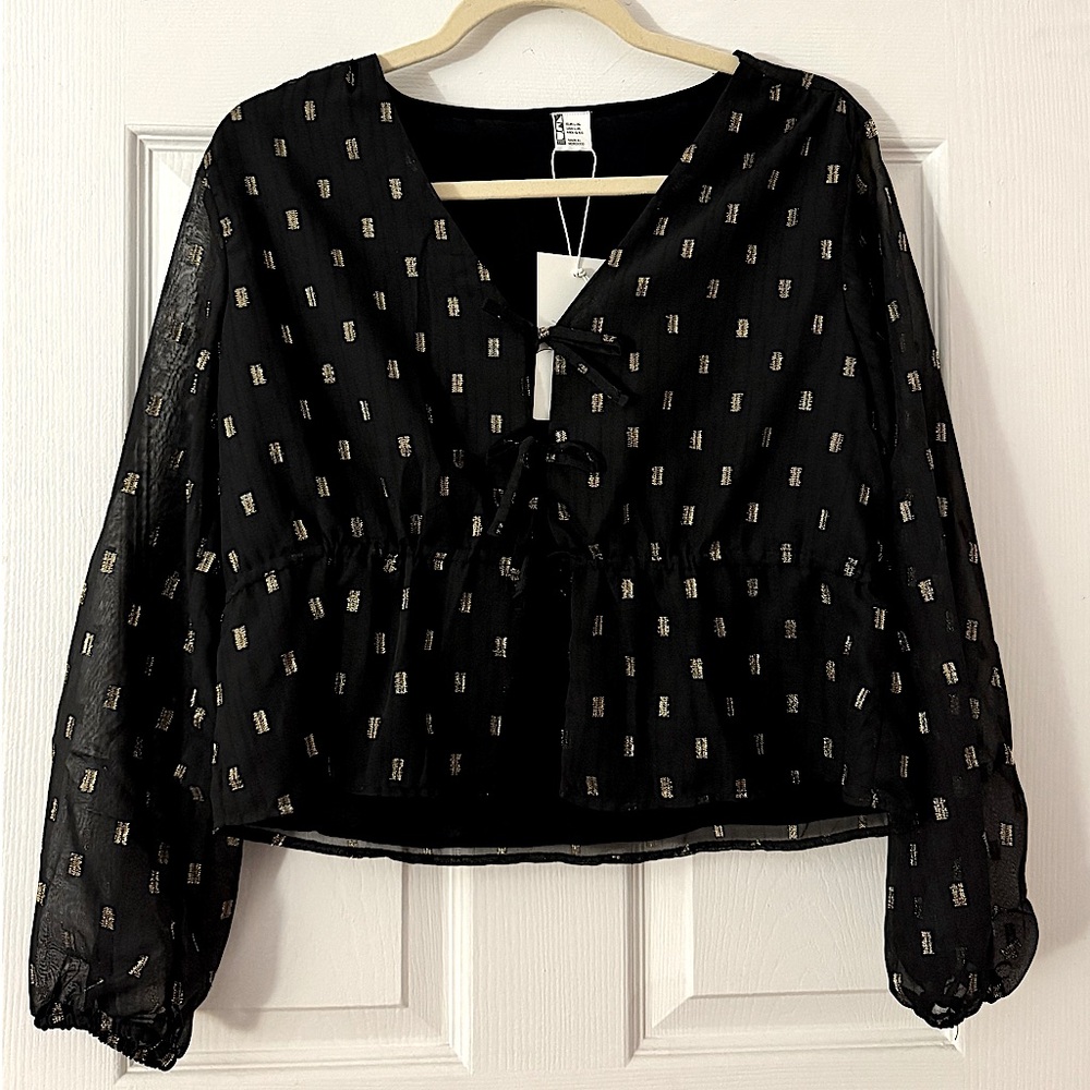 Zara Chic Black Sheer Top